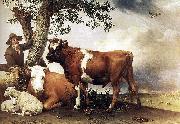 paulus potter The bull. oil painting on canvas